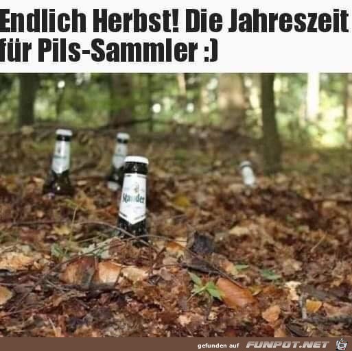 Pils-Sammler-Jahreszeit