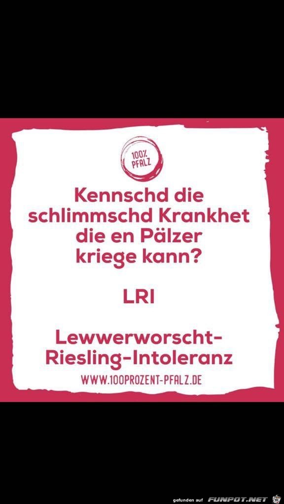 Pfaelzer Pfaelzer