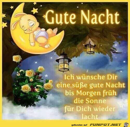 Gute Nacht ich wuensche dir