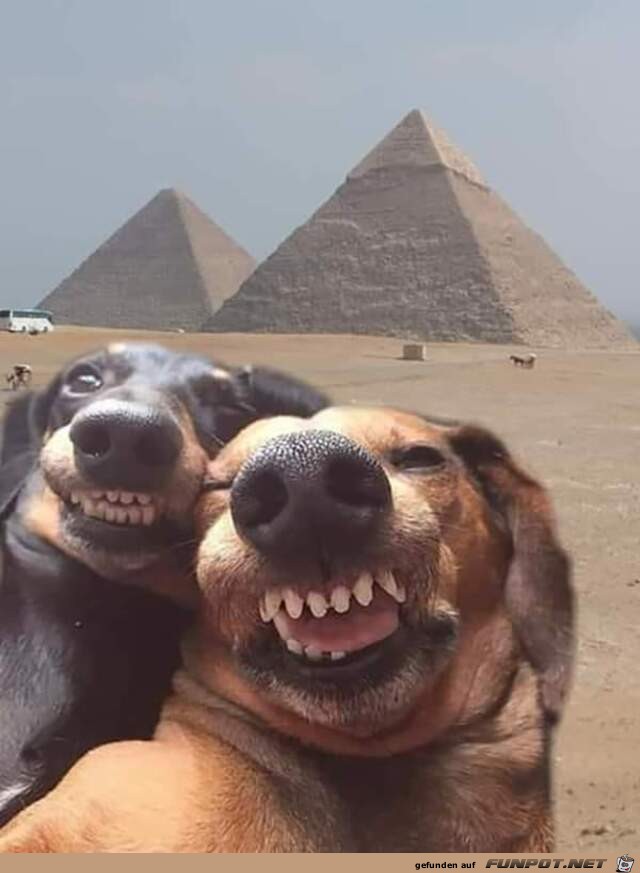 Super Selfie Super Selfie