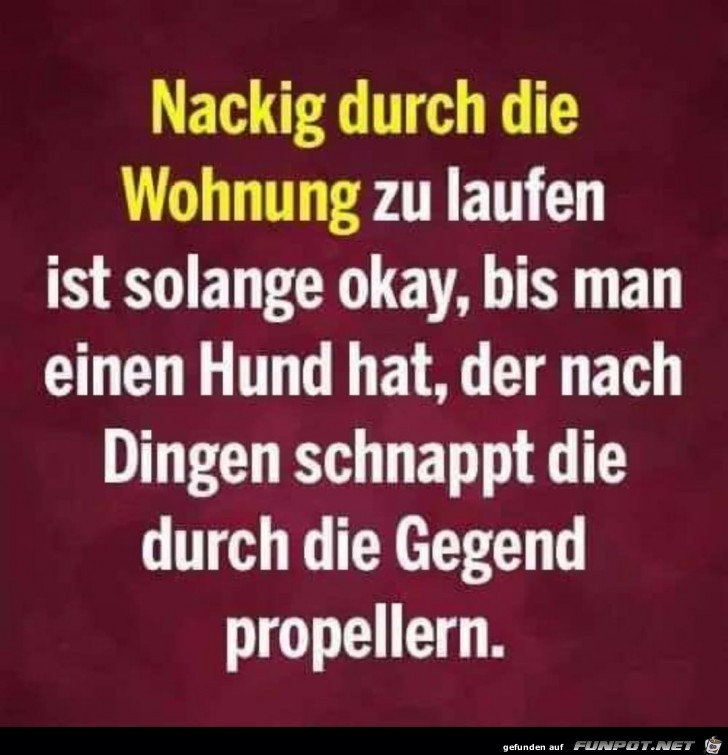 Nackig durch die Wohnung Nackig durch die Wohnung