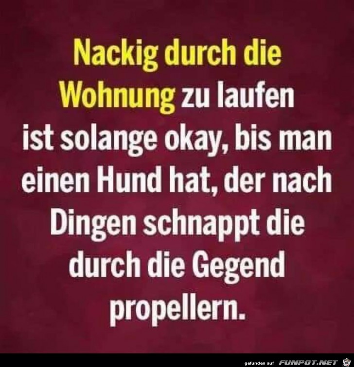 Nackig durch die Wohnung