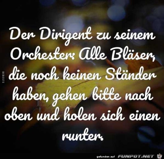 Der Dirigent Der Dirigent