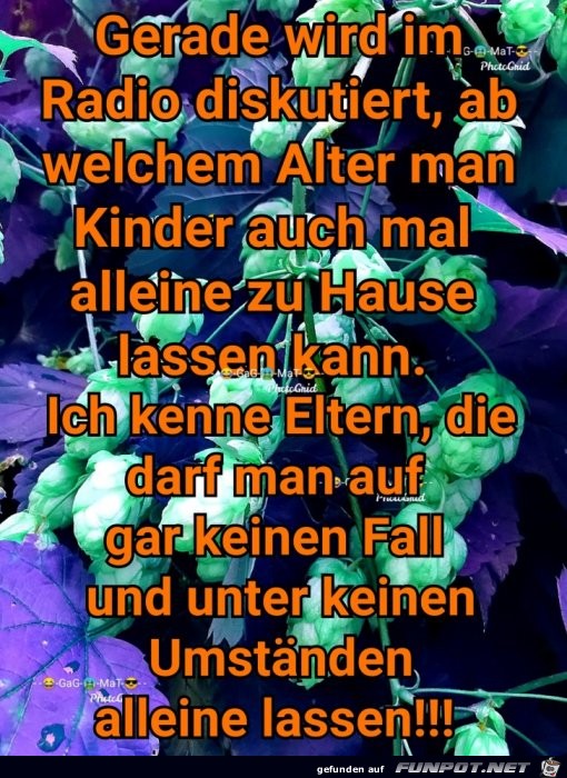 Grob Fahrlaessig Grob Fahrlaessig