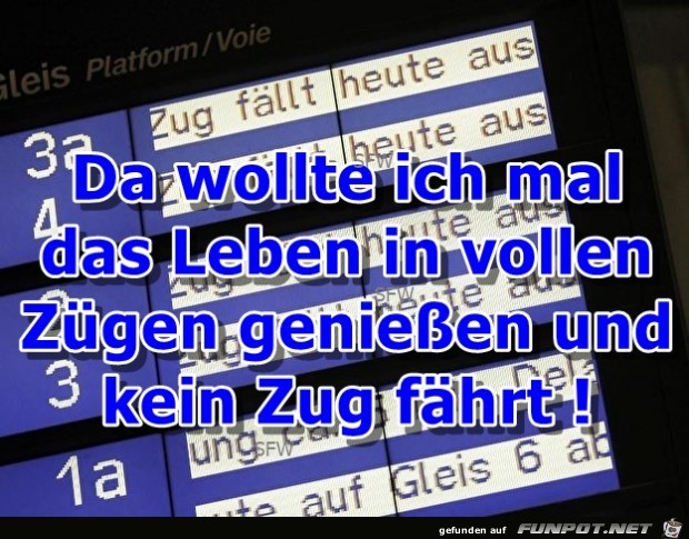 das Leben in vollen das Leben in vollen