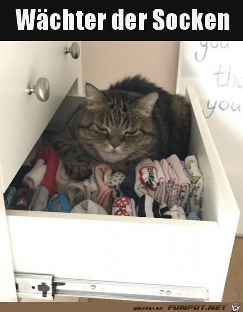 Socken-Wächter Socken-Wächter