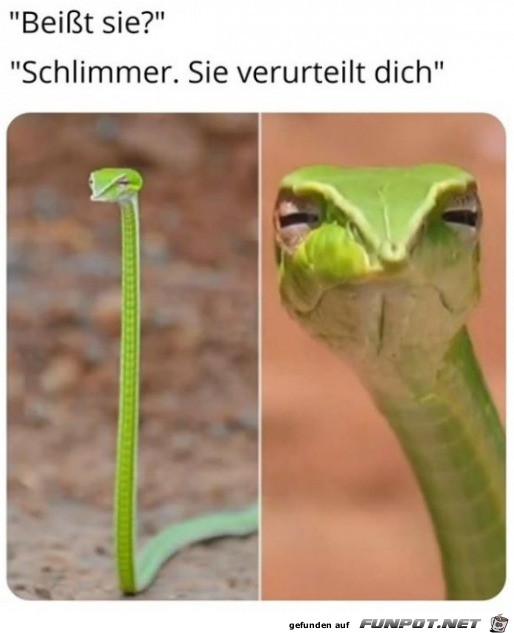 Sieht grimmig aus