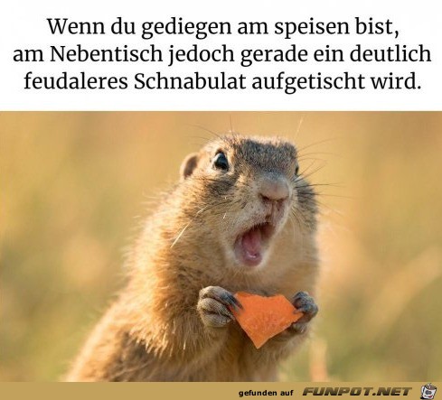 Das gibt es doch nicht Das gibt es doch nicht