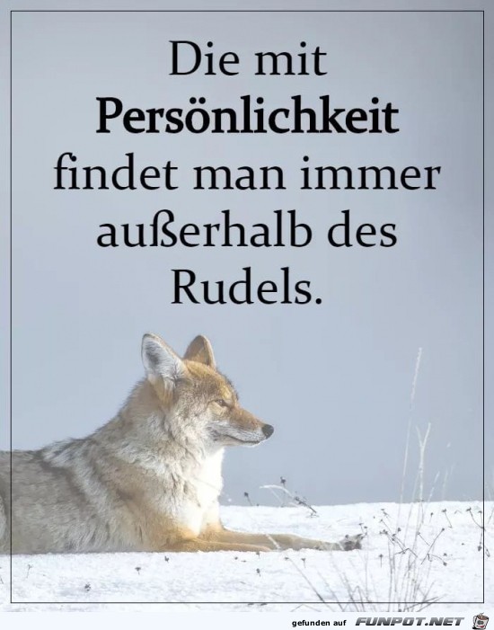 Mit Persönlichkeit Mit Persönlichkeit