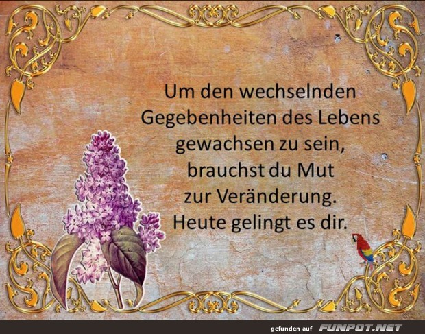 Mut zur Veraenderung Mut zur Veraenderung