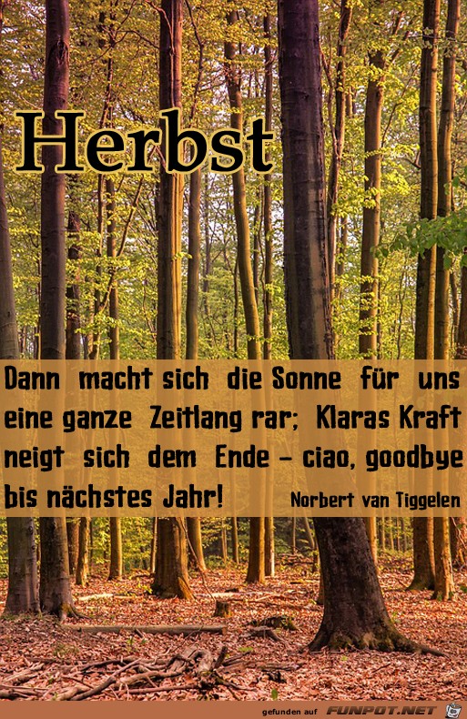 Herbst 3 Herbst 3