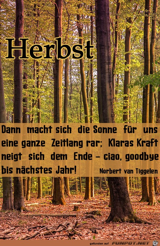 Herbst 3