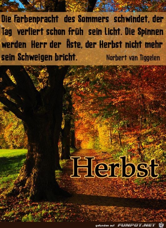 Herbst 4 Herbst 4