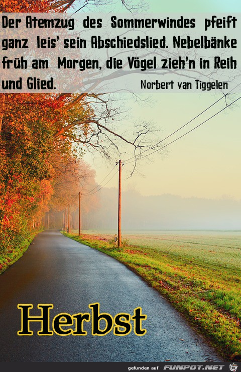 Herbst 5 Herbst 5