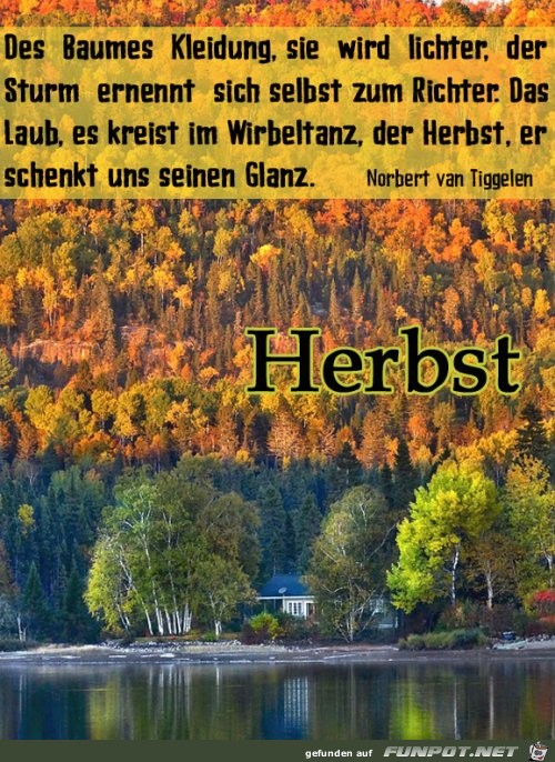 Herbst 6