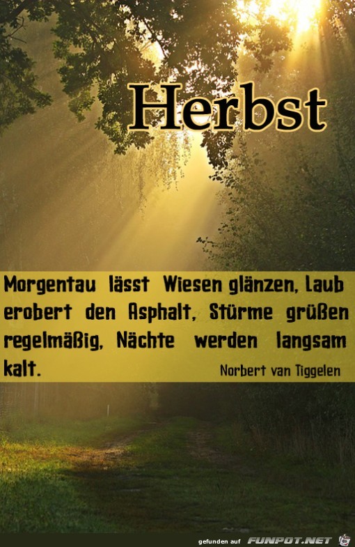 Herbst 7 Herbst 7