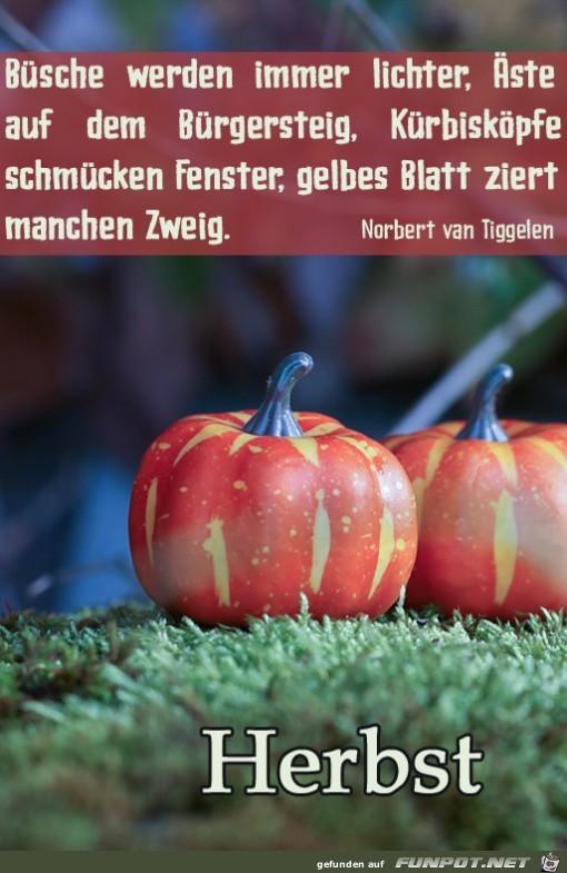 Herbst 9 Herbst 9