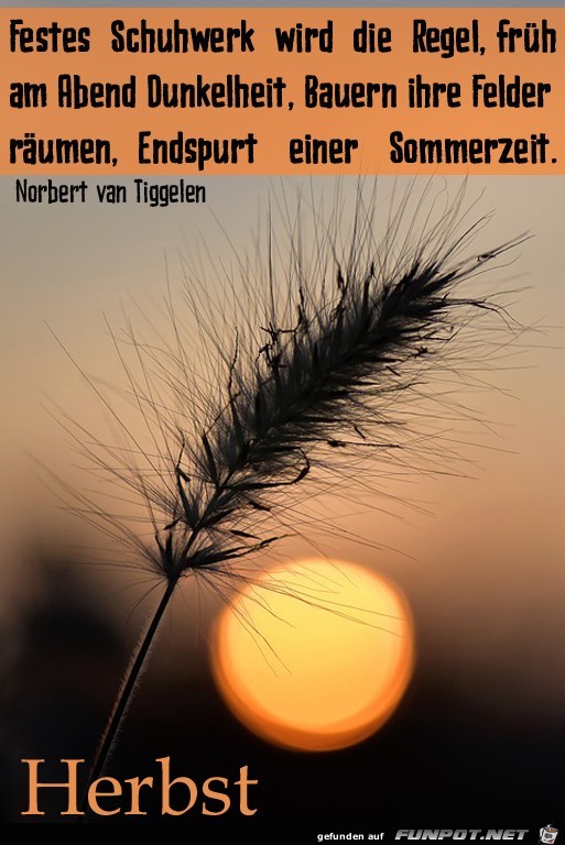 Herbst 10 Herbst 10