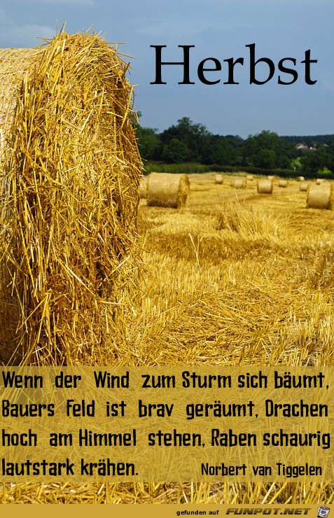 Herbst 11 Herbst 11