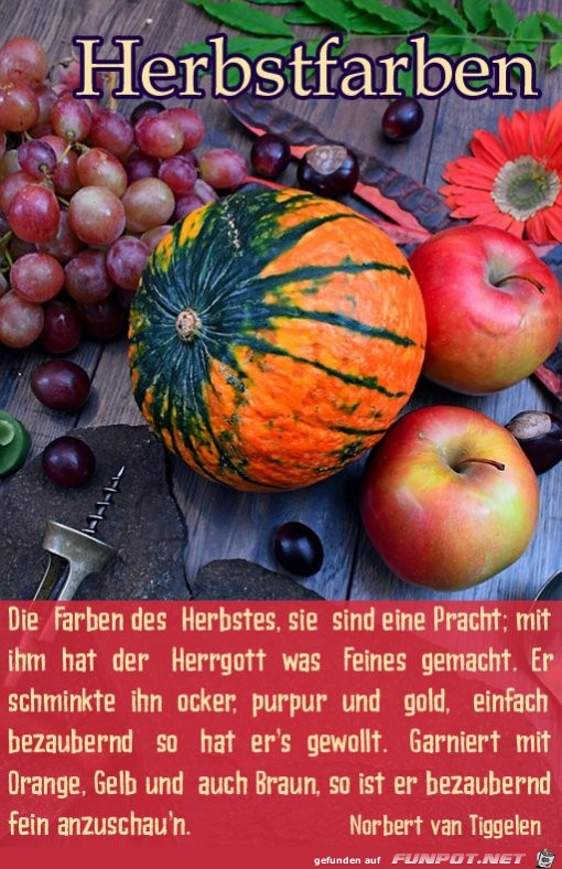 Herbst 14