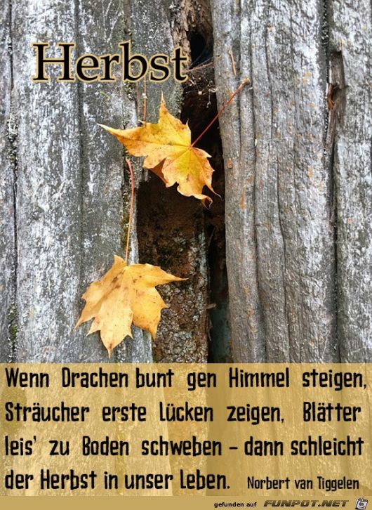 Herbst 15 Herbst 15