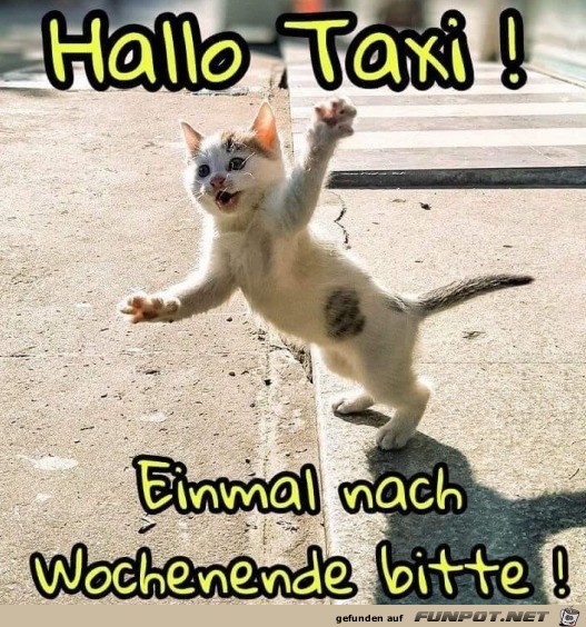 Fahrt ins Wochenende