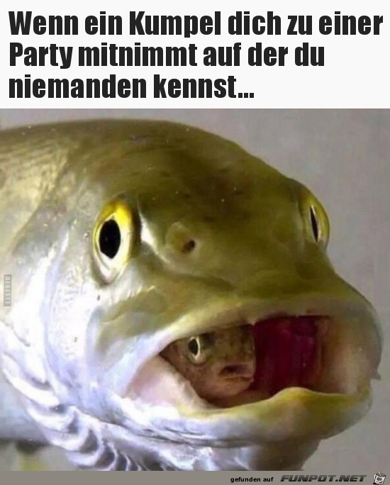 wenn dein Kumpel dich zu einer Party mitnimmt wenn dein Kumpel dich zu einer Party mitnimmt