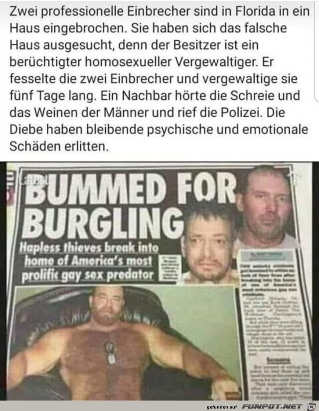 Professionelle Einbrecher Professionelle Einbrecher
