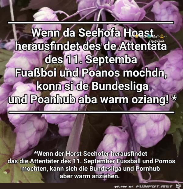Seehofa Hoast Seehofa Hoast