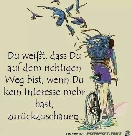 du weisst dass du auf dem richtigen weg bist du weisst dass du auf dem richtigen weg bist