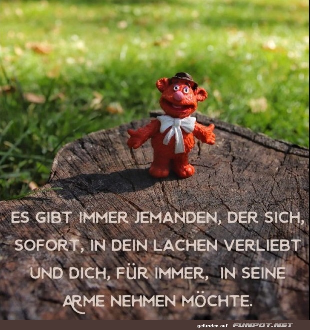 10 schöne Sprüche und Lebensweisheiten aus... 10 schöne Sprüche und Lebensweisheiten aus...