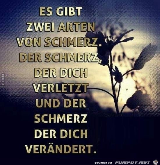 es gibt zwei arten es gibt zwei arten