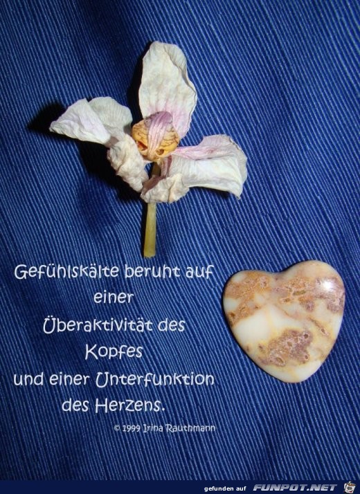 gefuehlskaelte gefuehlskaelte