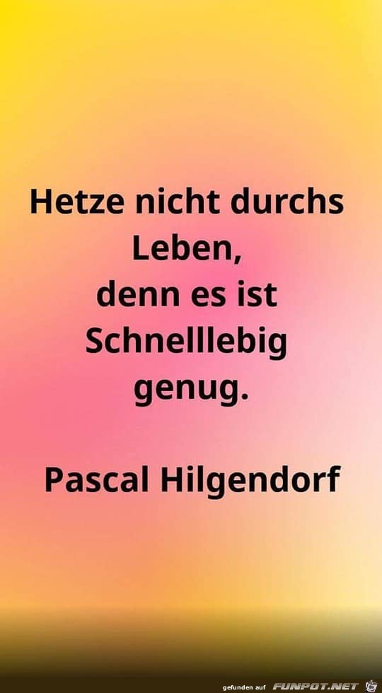 hetze nicht durchs leben hetze nicht durchs leben