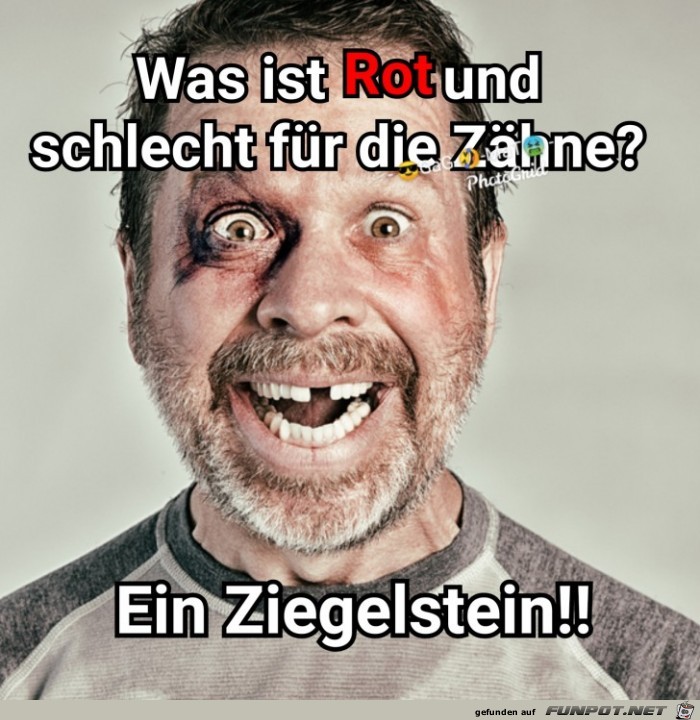Ziegelstein Ziegelstein
