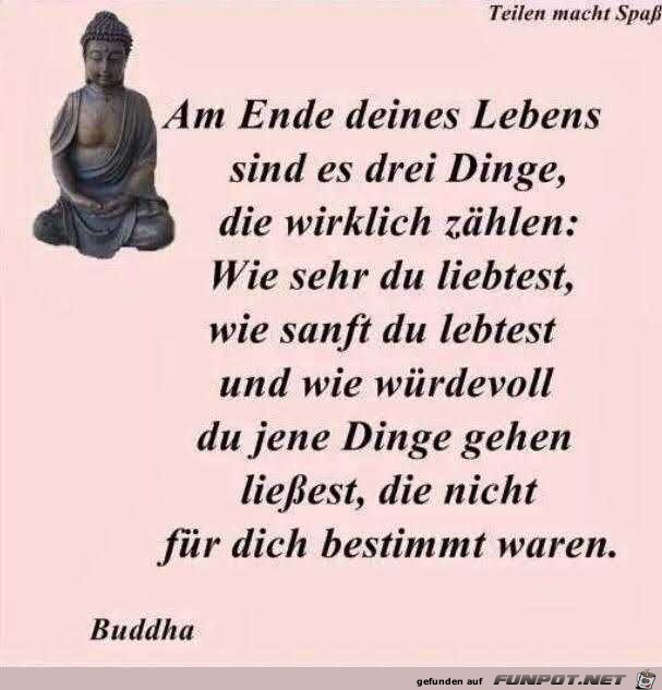 Am Lebensende Am Lebensende