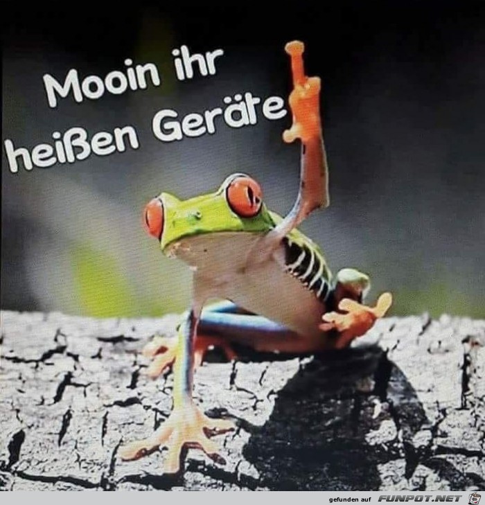 Morgen Morgen