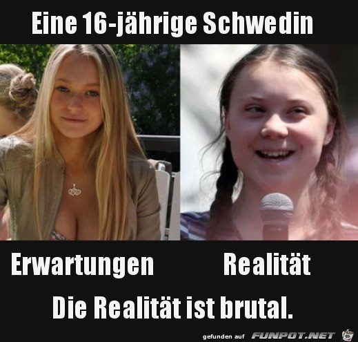 Die Realitt ist hart