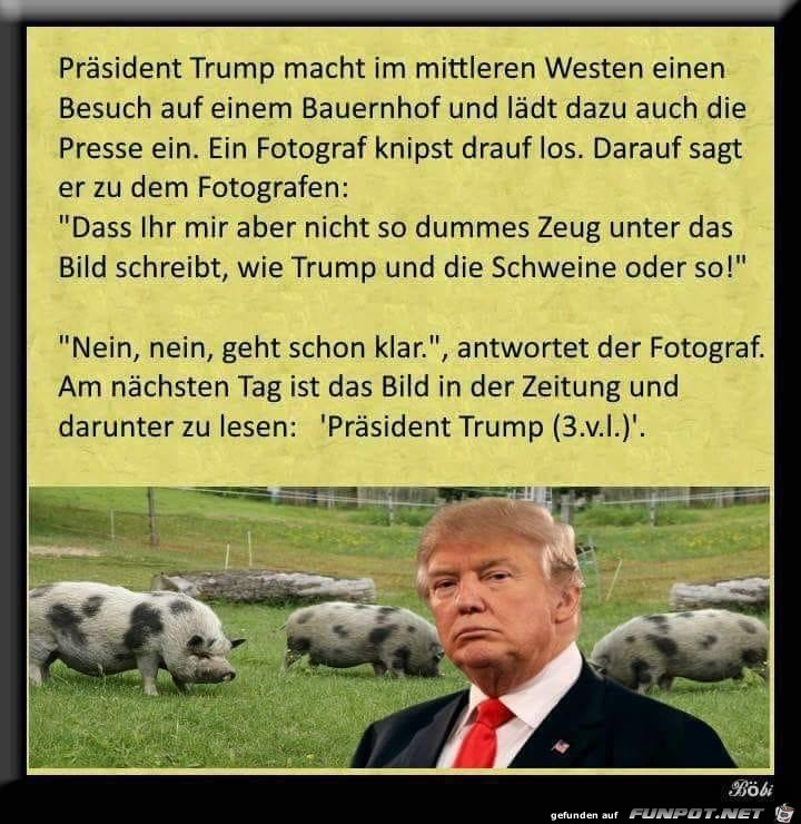 Trump und der Fotograf