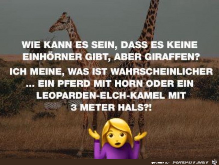 Die Frage ist berechtigt Die Frage ist berechtigt