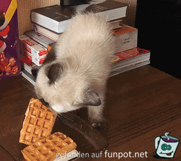 Instant-Karma Instant-Karma