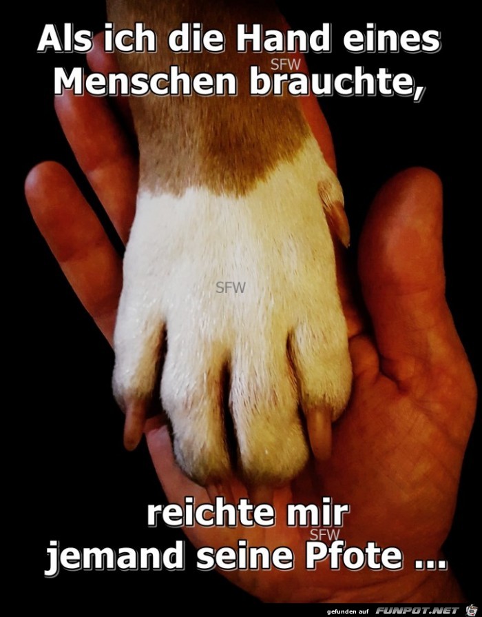 als ich die Hand als ich die Hand