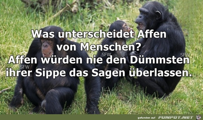 was unterscheidet was unterscheidet