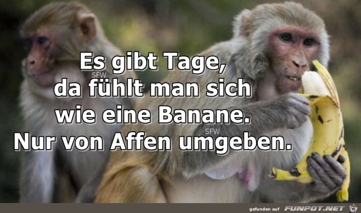wie eine Banane wie eine Banane
