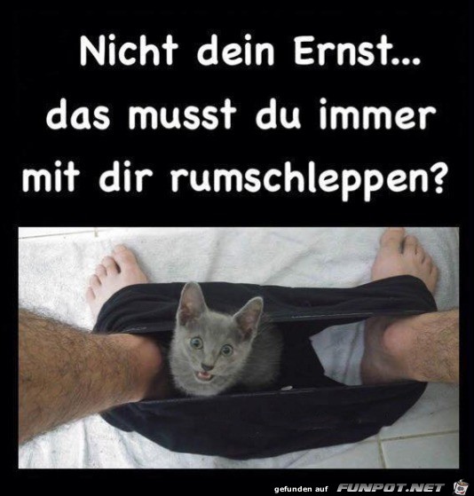 Nicht dein Ernst