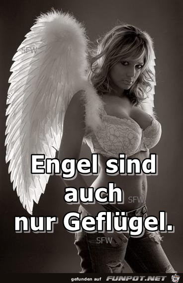 Engel Gefluegel