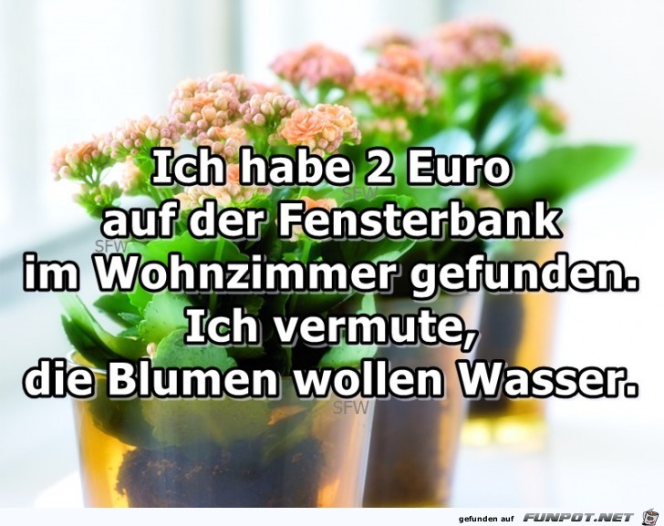 Ich habe 2 Euro