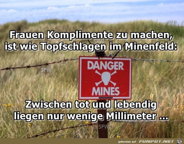Minenfeld Minenfeld