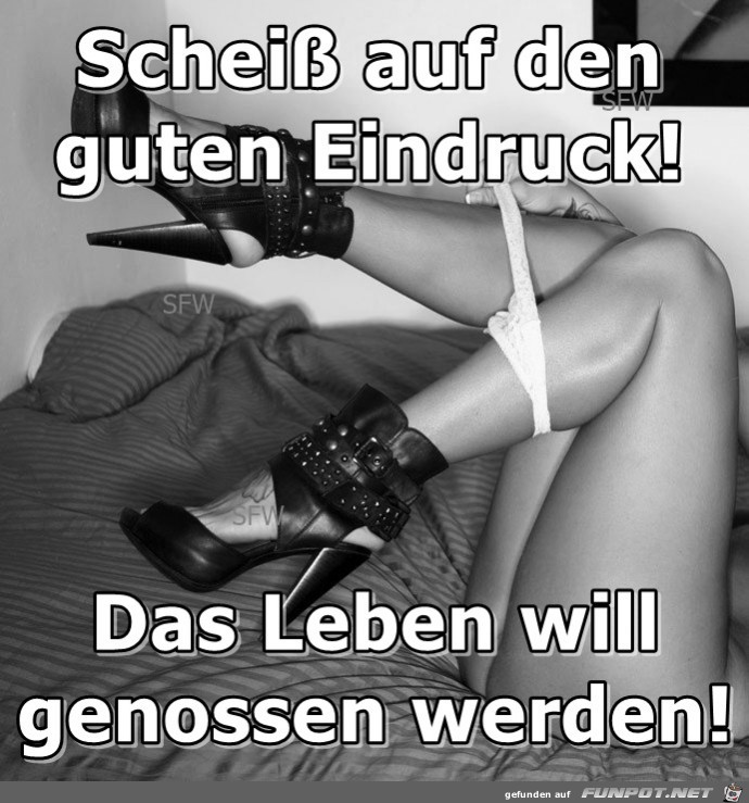 Schei ss auf den Schei ss auf den