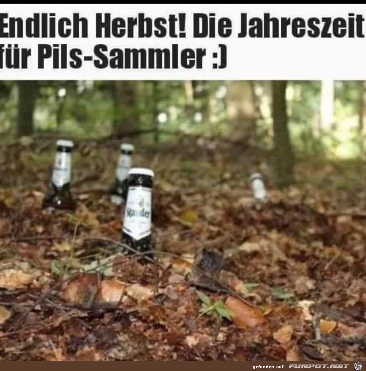 endlich herbst endlich herbst